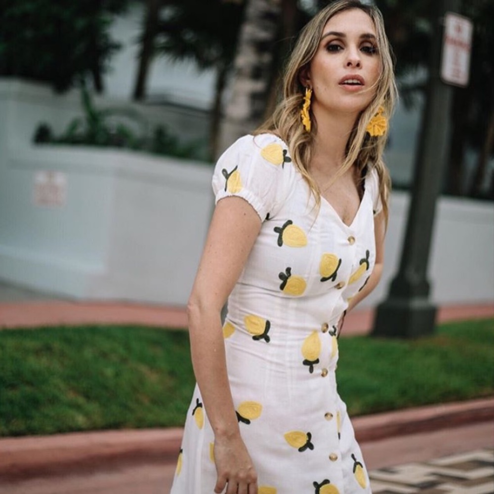 Red Carter Lemon Embroidered Dress - Picture 6 of 14